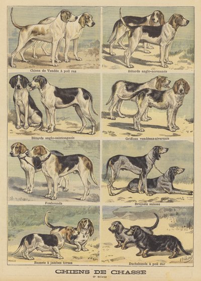 Perros de caza de French School